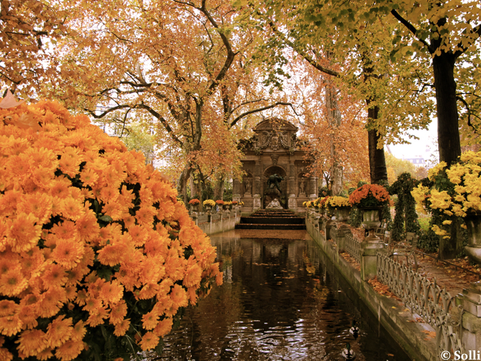 fontaine_medecis