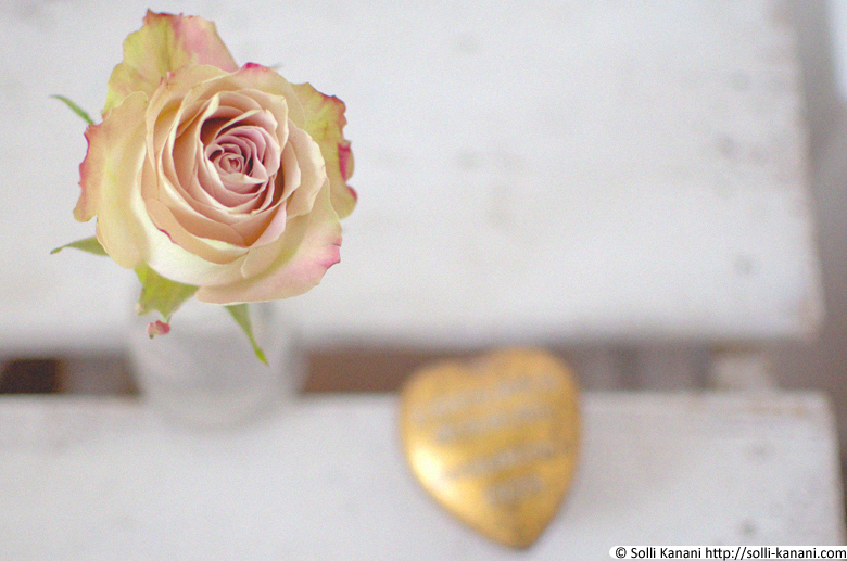 rose in a glassbottle
