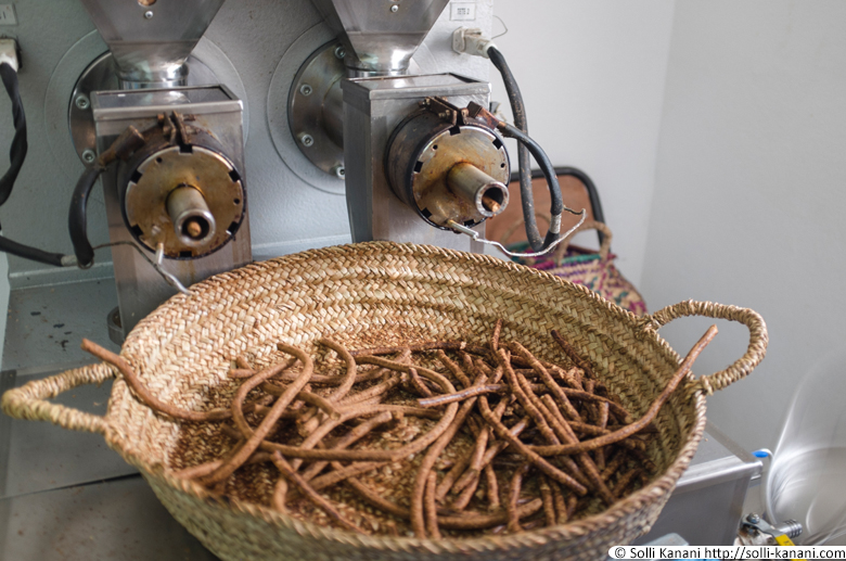 In the making of argan oil