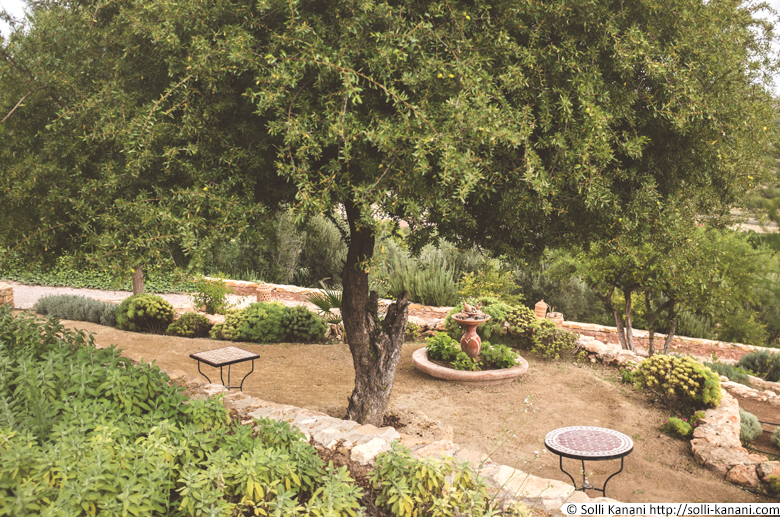 Garden of Atlas Kasbah