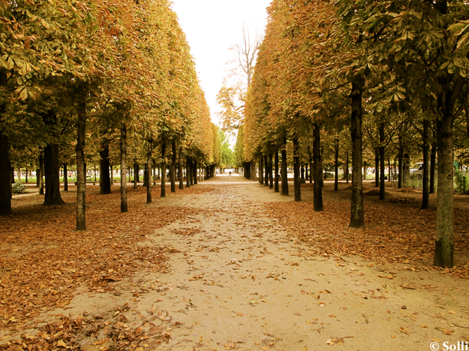 Jardin des Tuileries, October - Paris